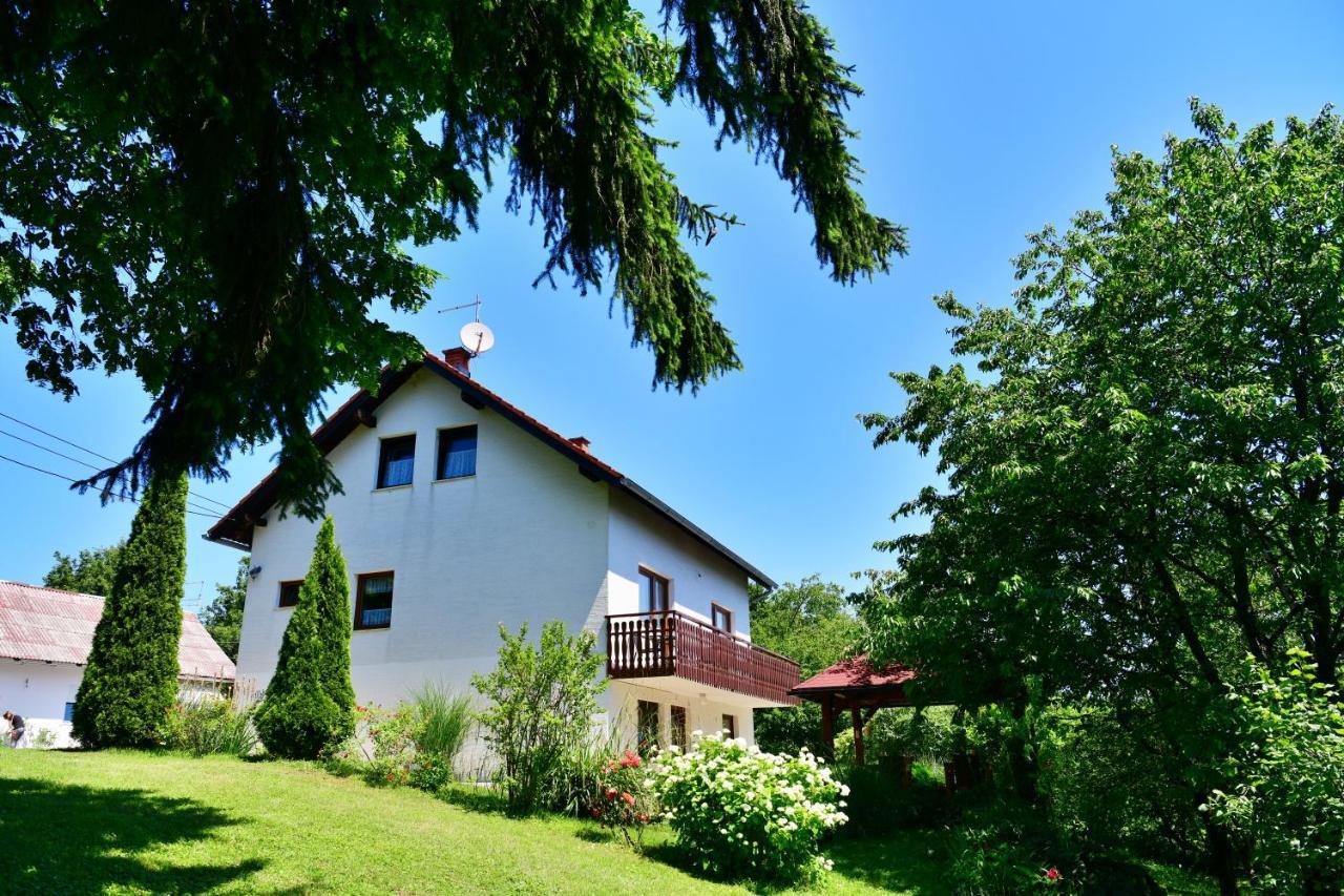 Apartment And Rooms Ivancica Seliste Dreznicko Ngoại thất bức ảnh